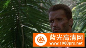 铁血战士[中字]Predator.1987.Blu-ray.CEE.1080p.AVC.DTS-HD.5.1-HDCLUB 40.1G-4.jpg