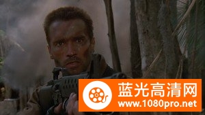 铁血战士[中字]Predator.1987.Blu-ray.CEE.1080p.AVC.DTS-HD.5.1-HDCLUB 40.1G-2.jpg