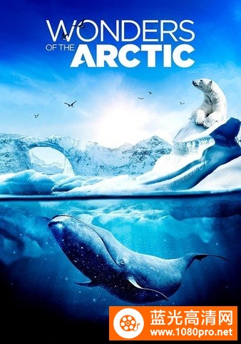 北极奇观/奇幻冰極 Wonders.of.the.Arctic.2014.DOCU.2160p.BluRay.x265.10bit.HDR.TrueHD.7.1.Atmos-White ...