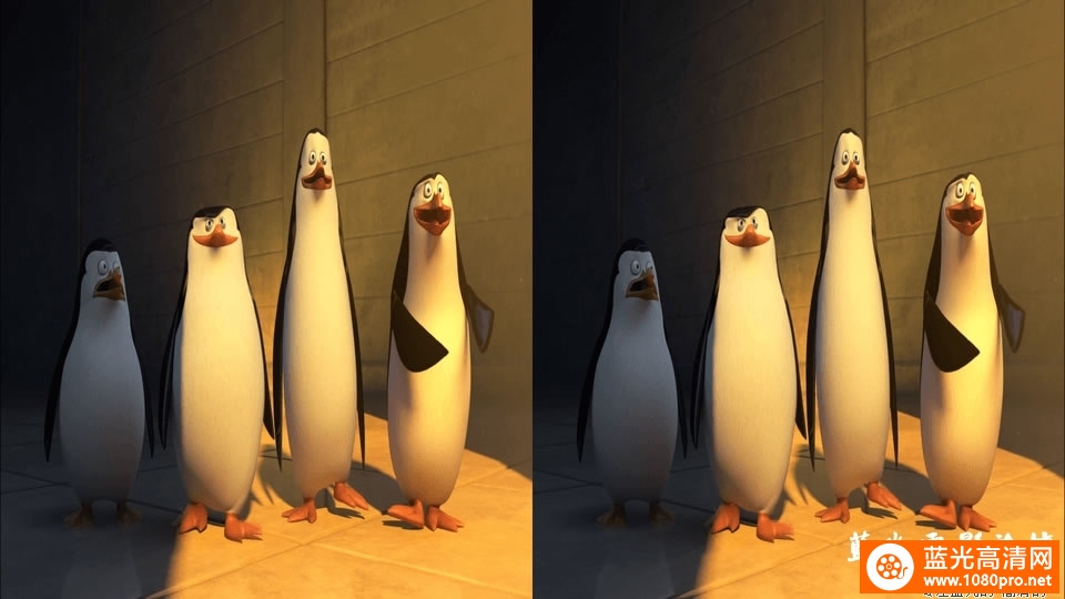 [马达加斯加爆走企鹅/马达加斯加的企鹅][3D左右半宽][1080P-16.1G][MKV]DTS-3.jpg