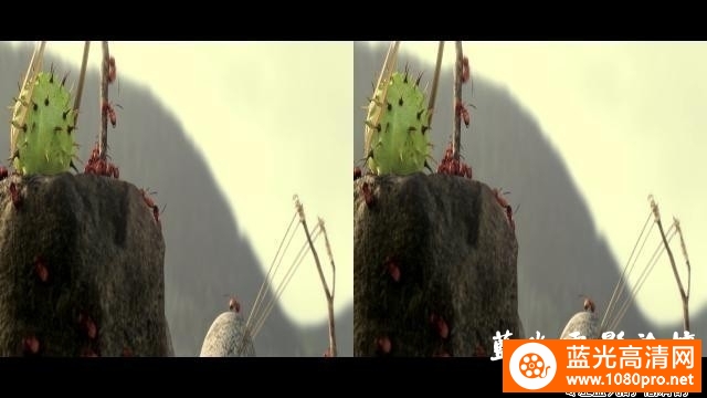   [2014][法国][虫虫大联盟：方糖争霸战/微观小世界：失落的蚂蚁/昆虫总动员][3D左右半宽][1080P-11.97G][M ...