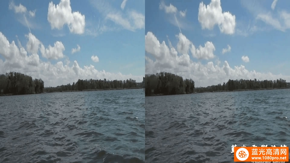 [3D高清] [2012][欧美][纪录片][探索大沼泽地][3D左右半宽][1080P-4.19G][MKV]DTS-2.jpg