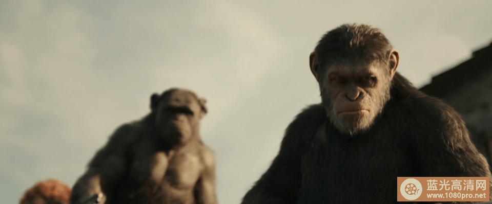 [2017][美国][科幻]《猩球崛起3:终极之战》3D 多版本注意区分