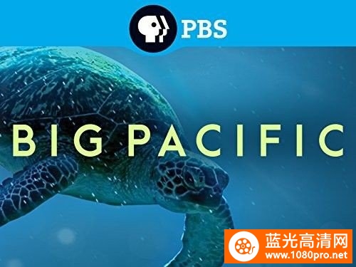 [蓝光原盘]大太平洋  4K高清 Big.Pacific.2017.S01.2160p.BluRay.HEVC.DTS-HD.MA.2.0-PRECELL 90GB-1.jpg