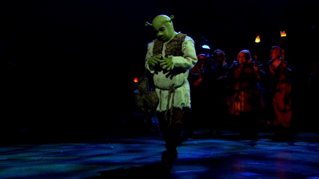 怪物史瑞克（音乐剧） Shrek.The.Musical.2013.1080p.BluRay.x264-CCAT 8.74GB