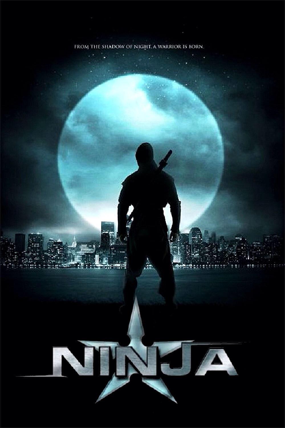 纽约行动 Ninja.2009.1080p.BluRay.x264-aAF 7.94GB