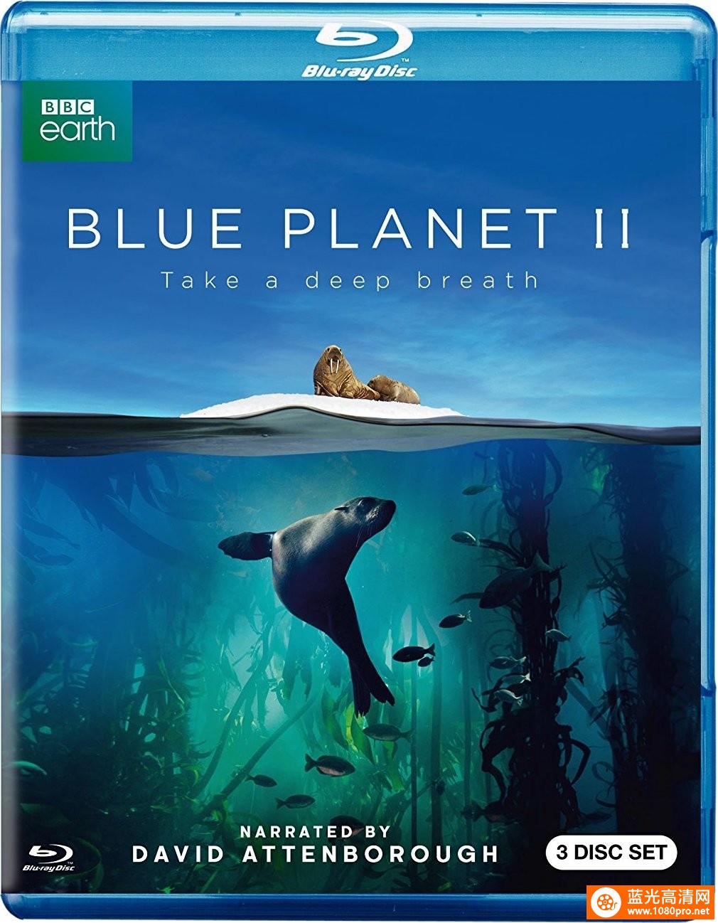 蓝色星球II[国英双语.特效中英].Blue.Planet.2017.BD.1080P.x265.10bit- 22.22GB