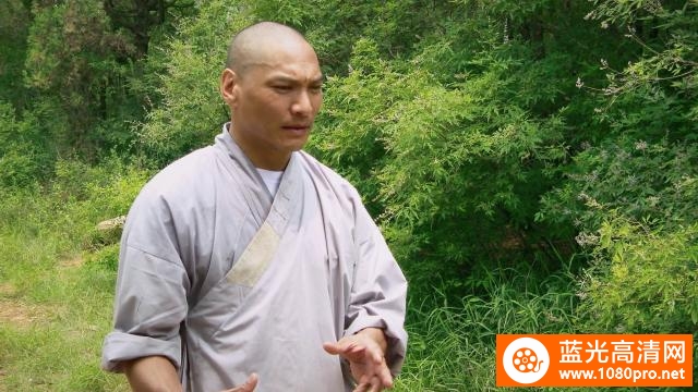 中华功夫 Secrets.of.Shaolin.with.Jason.Scott.Lee.2012.1080p.BluRay.x264-PussyFoot 4.37GB-3.png