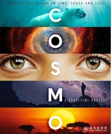 宇宙:时空之旅 Cosmos.A.Space.Time.Odyssey.2014.BluRay-Remux.1080p.ENG.RUS 139.86GB-1.jpg