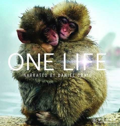 BBC 地球生灵 BBC-One Life 2011 Blu-ray Remux AVC FLAC 5.1-AYU2D 17.4GB-1.jpg