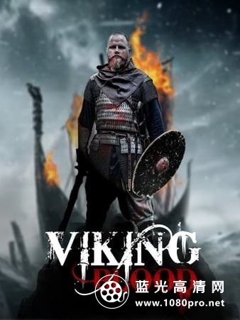 维京人的血 Viking.Blood.2019.1080p.WEB-DL.H264.AC3-EVO 3.08GB-1.jpg