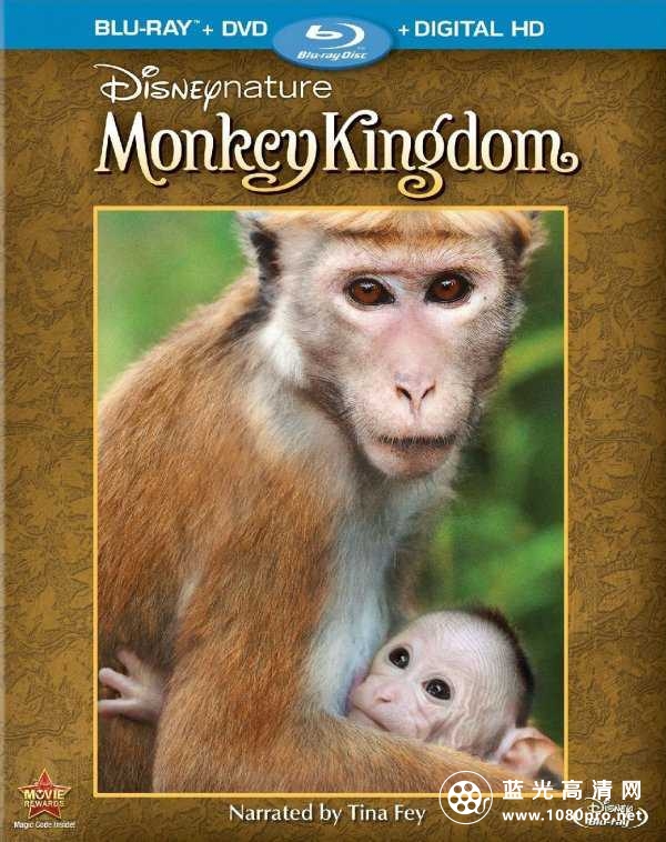 猴子王国 Monkey.Kingdom.2015.DOCU.1080p.BluRay.REMUX.AVC.DTS-HD.MA.5.1-RARBG 21GB-1.jpg
