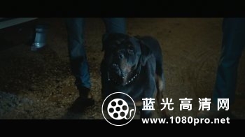军犬麦克斯/海军忠犬 Max 2015 BluRay REMUX 1080p AVC DTS-HD MA5.1-HDS 22.28 GB-7.jpg
