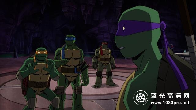 蝙蝠侠大战忍者神龟 Batman.vs.Teenage.Mutant.Ninja.Turtles.2019.2160p  多版本注意区分