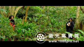 猫侍 赴南岛[简繁]2015 BluRay REMUX 1080p AVC LPCM5.1-HDS 20GB-2.jpg