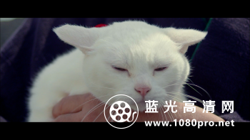 猫侍 赴南岛[简繁]2015 BluRay REMUX 1080p AVC LPCM5.1-HDS 20GB-8.jpg