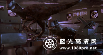 侏罗纪公园三部曲 J.P.U.T.1993-2001.720p.BluRay.x264.DTS-HDChina-5.jpg