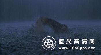 侏罗纪公园三部曲 J.P.U.T.1993-2001.720p.BluRay.x264.DTS-HDChina-12.jpg