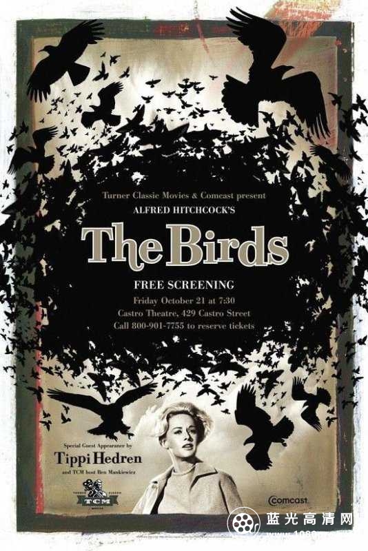 群鸟/鸟 The.Birds.1963.1080p.BluRay.x264.FLAC.2.0-FGT 15.21GB-1.jpg