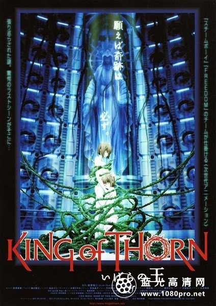 古城荆棘王 King.of.Thorn.2010.BluRay.1080p.DTS.x264-CHD 6.62GB-1.jpg