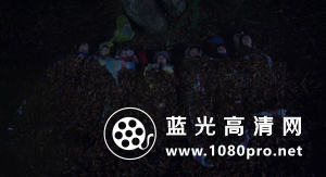 去见瀑布[内封中文字幕].Go.See.the.Fall.2014.1080p.BluRay.x264-WiKi 11.8GB-16.png