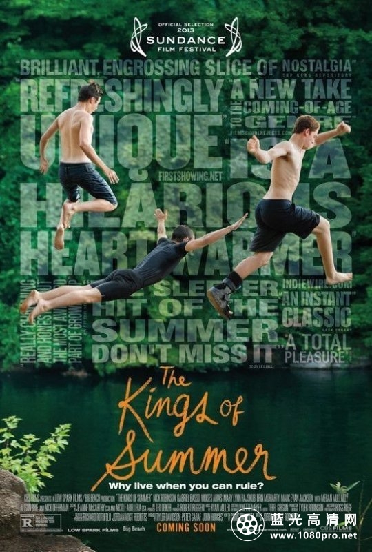 夏日之王/玩具之家 The.Kings.of.Summer.2013.1080p.BluRay.x264.DTS-FGT 8.7GB-1.jpg