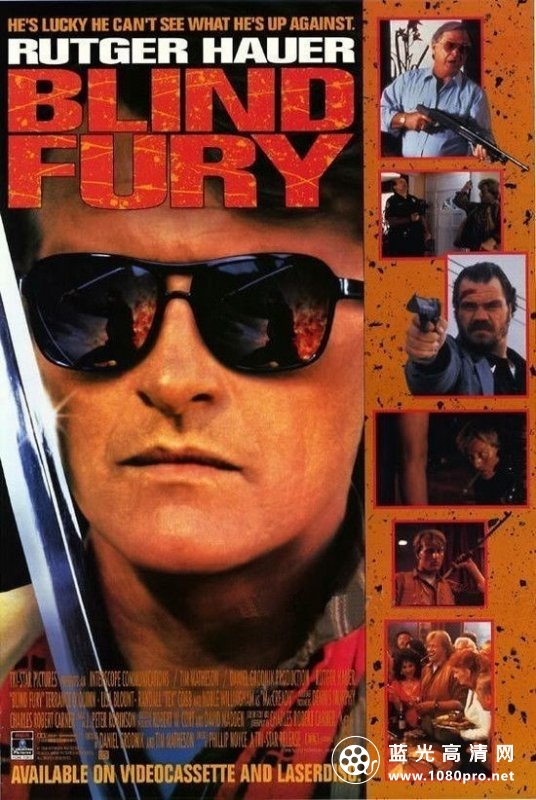铁鹰战士/义胆游龙 Blind.Fury.1989.1080p.BluRay.x264.DTS-FGT 9.57GB-1.jpg