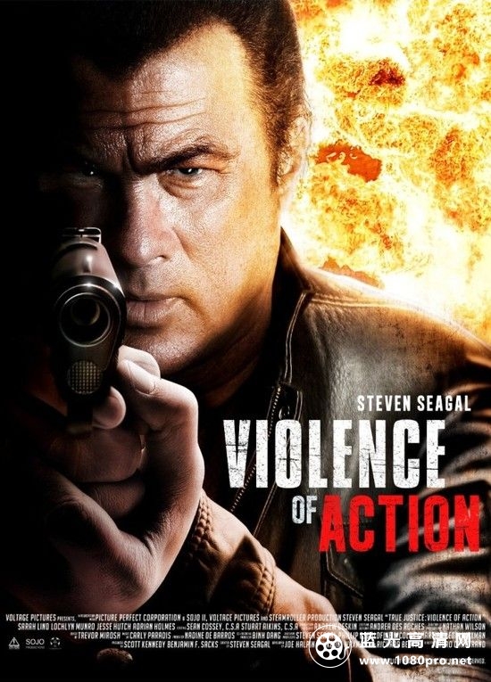 暴力行动 Violence.of.Action.2012.1080p.BluRay.x264.DTS-FGT 4.53GB-1.jpg