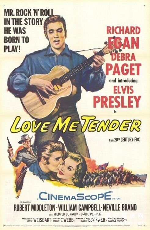 铁血柔情/温柔地爱我 Love.Me.Tender.1956.1080p.BluRay.x264.DTS-FGT 5.70GB-1.jpg