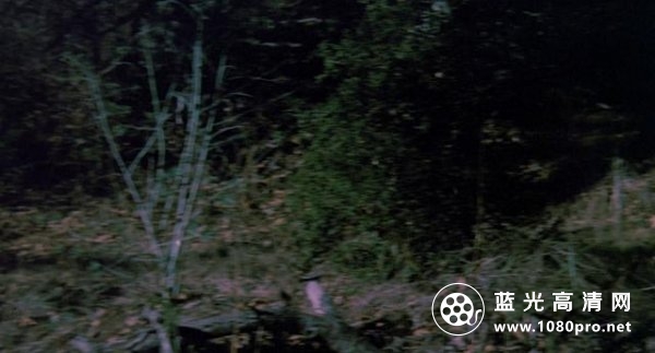狼人行凶 The.Boy.Who.Cried.Werewolf.1973.1080p.BluRay.x264.DTS-FGT 8.49GB-6.png