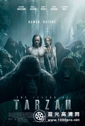 泰山归来:险战丛林/新人猿泰山 The.Legend.of.Tarzan.2016.1080p.BluRay.x264.TrueHD.7.1.Atmos-FGT 11.42GB-1.jpg