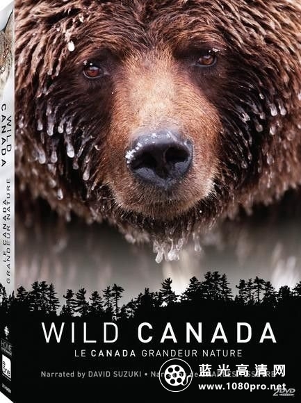 野性加拿大 Wild.Canada.2014.Part4.1080p.BluRay.x264-aAF 4.37GB-1.jpg