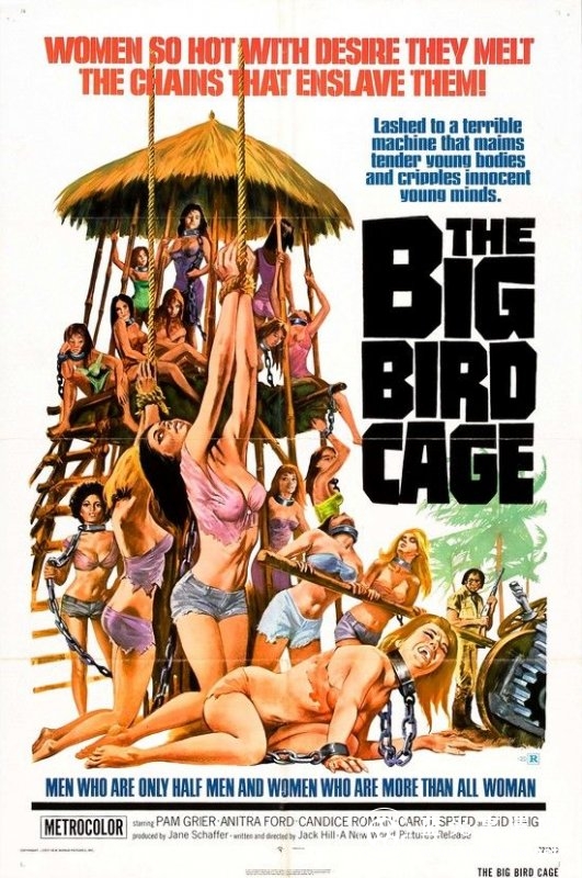 大鸟笼 The.Big.Bird.Cage.1972.1080p.BluRay.x264.DTS-FGT 8.73GB-1.jpg
