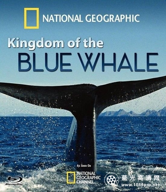 蓝鲸王国 Kingdom.of.the.Blue.Whale.2009.1080p.BluRay.x264-HD4U 6.56GB-1.jpg