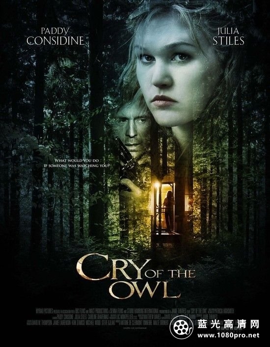 猫头鹰的哭泣 Cry.of.the.Owl.aka.The.Watcher.2009.1080p.BluRay.x264-BestHD 7.95GB-1.jpg