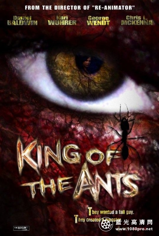 蚁王杀机 King.of.Ants.2003.1080p.BluRay.x264.DTS-FGT 5.89GB-1.jpg