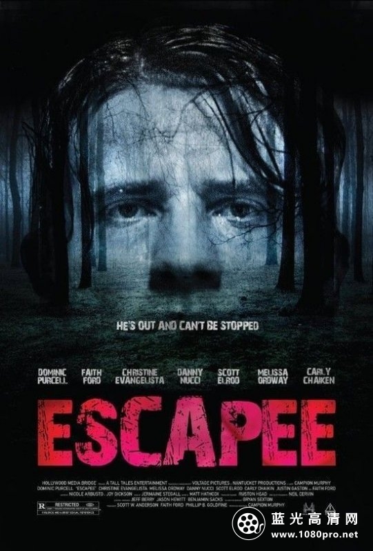 逃犯 Escapee.aka.Asylum.Escape.2011.1080p.BluRay.X264-7SinS 6.55GB-1.jpg