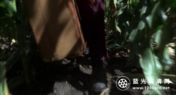 镰刀梦魇/魔鬼仔 Children.Of.The.Corn.1983.1080p.BluRay.x264-HANGOVER 7.95GB-4.jpg