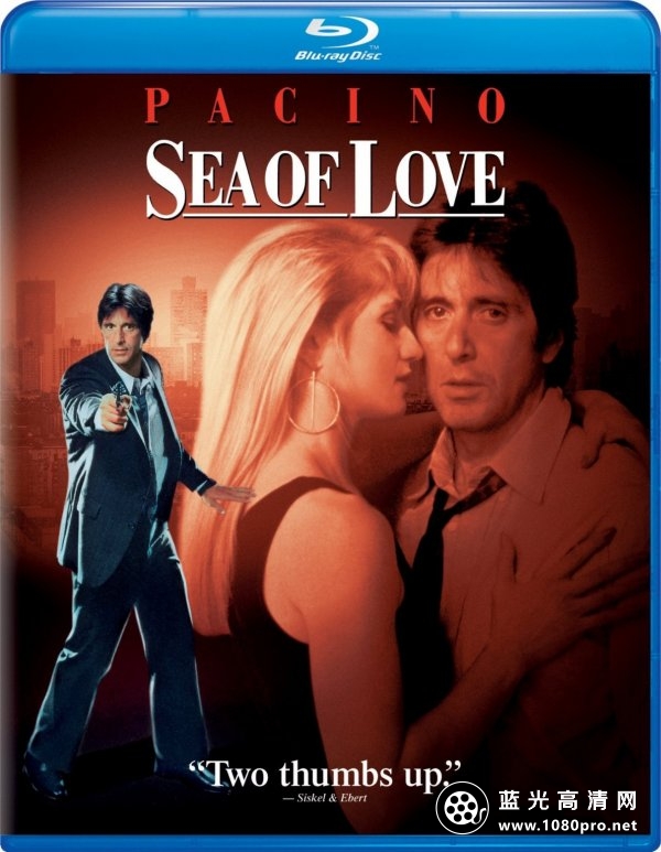午夜惊情/爱之海[英繁SUP字幕]Sea Of Love 1989 BluRay 1080p DTS-HD MA 5.1 x264-beAst  9.66G-1.jpg