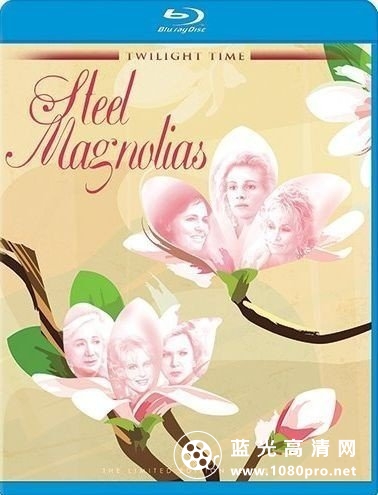 木兰花/心灵角落/人生交叉剔 Steel.Magnolias.1989.1080p.BluRay.X264-AMIABLE 8.75G-1.jpg