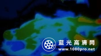 铁血战士/终极战士/掠夺者 Predator.1987.1080p.BluRay.DTS-HD.MA.5.1.x264-PublicHD 12.52G-9.jpg