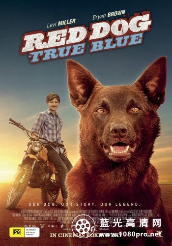 红犬历险记2:蓝犬 Red.Dog.True.Blue.2016.1080p.BluRay.x264-PFa 6.55GB-1.jpg