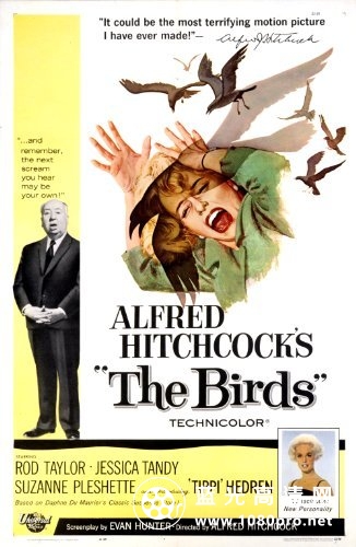 群鸟/鸟 Alfred.Hitchcocks.The.Birds.1963.1080p.BluRay.X264-AMIABLE 8.75GB-1.jpg
