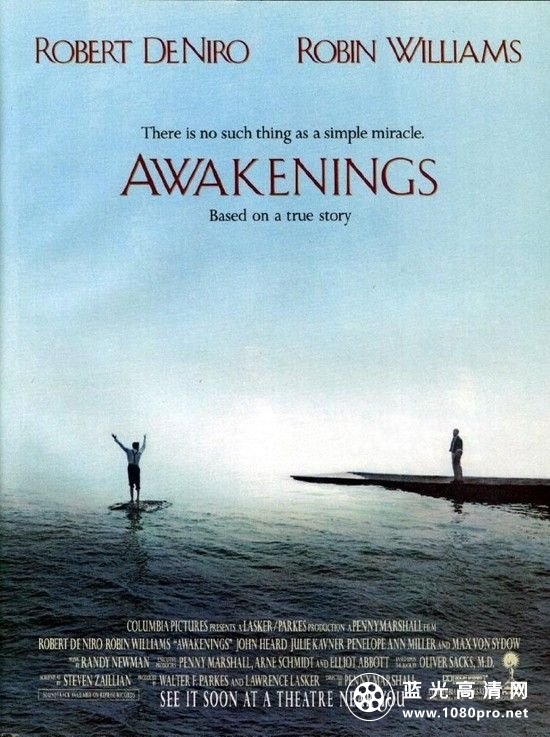 无语问苍天/睡人 Awakenings.1990.1080p.BluRay.X264-AMIABLE 8.74GB-1.jpg