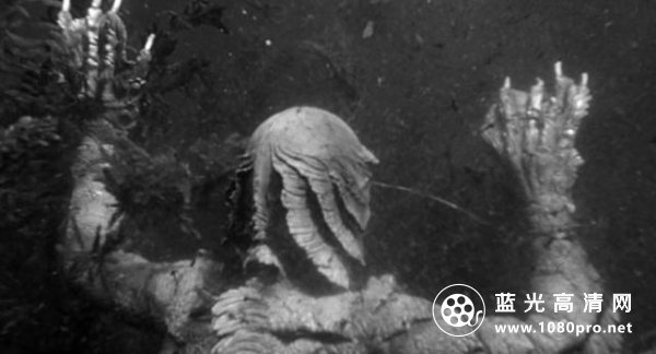 黑湖妖谭/黑湖妖潭 Creature.From.The.Black.Lagoon.1954.1080p.BluRay.x264-HD4U 5.46GB-7.png