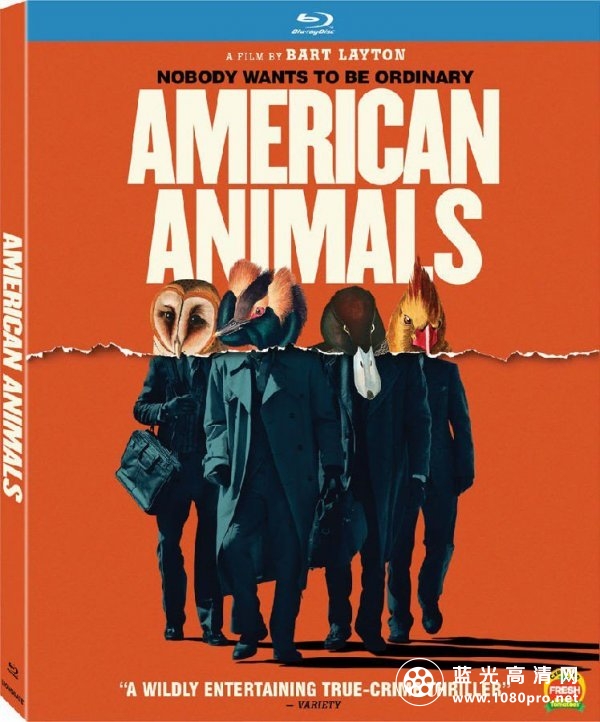 美国动物 American Animals 2018 BluRay 1080p DTS x264-CHD 7.75GB-1.jpg