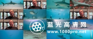 鲨鱼 Sharks.2018.DOCU.1080p.BluRay.x264-EHD 4.45GB-5.jpg