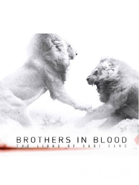 狮王之路 Brothers.In.Blood.The.Lions.Of.Sabi.Sand.2015.1080p.WEBRip.x264-RARBG 1.68GB-1.png
