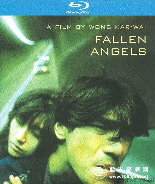 堕落天使.Fallen Angels.1995.BluRay.720p.X264.AC3.国粤双语/中文字幕/2.0G-1.jpg