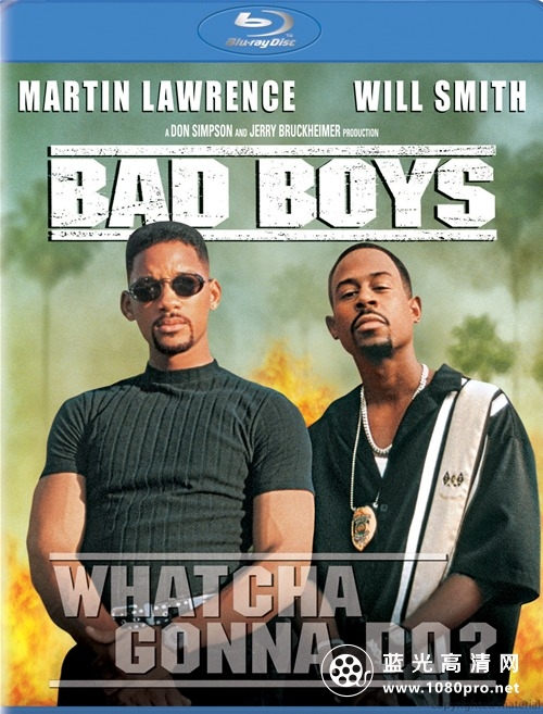 绝地战警 Bad Boys 1995 BluRay 720p DTS x264-3Li 6.17G-1.jpg